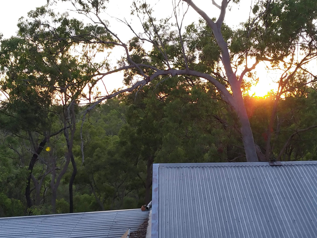 Shipping & seminar 2022