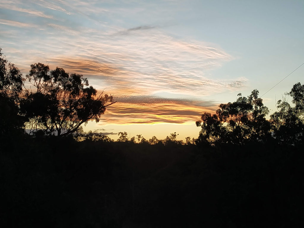 Weaving seminars 2022